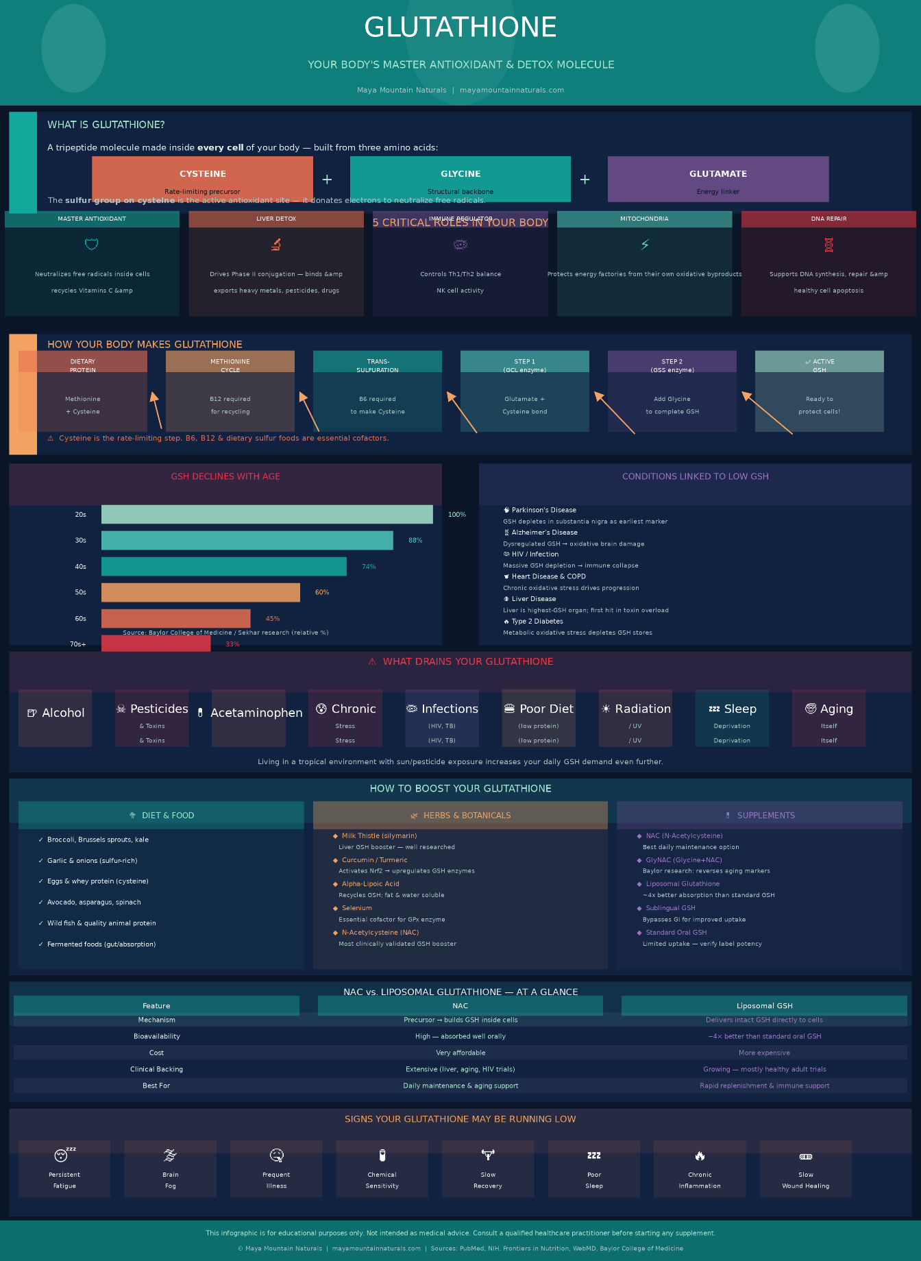 Glutathione infographic — what it is (a tripeptide made in every cell from cysteine, glycine, and glutamate), its five critical roles, how the body makes it, why levels decline with age, what drains it, and how to boost it through diet, herbs, and supplements