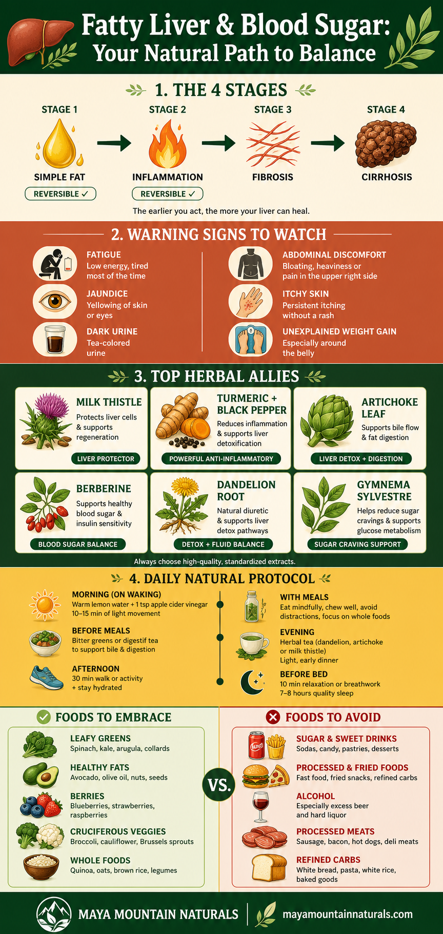 Fatty Liver and Blood Sugar: Your Natural Path to Balance — infographic showing the 4 stages of fatty liver, warning signs, top herbal allies, a daily natural protocol, and foods to embrace versus avoid.