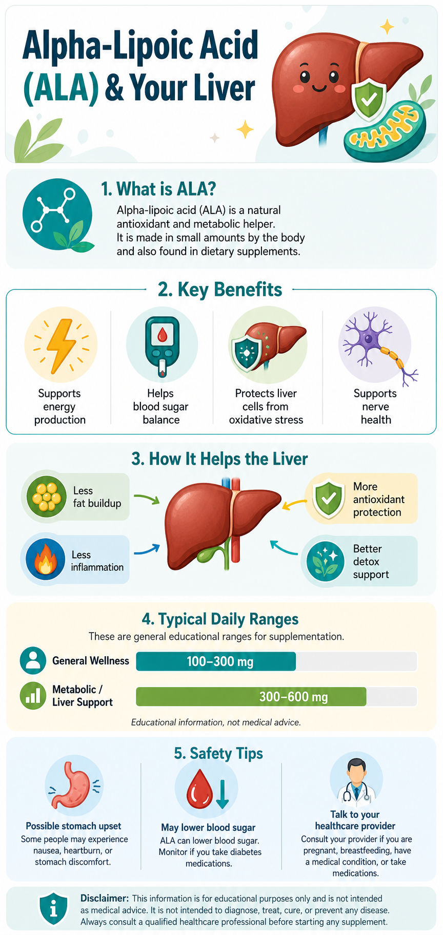 Alpha-Lipoic Acid (ALA) and Your Liver infographic — what ALA is (a natural antioxidant and metabolic helper made by the body and found in supplements); key benefits including supporting energy production, blood sugar balance, protecting liver cells from oxidative stress, and nerve health; how it helps the liver with less fat buildup, less inflammation, more antioxidant protection, and better detox support; typical daily ranges of 100–300 mg for general wellness and 300–600 mg for metabolic and liver support; and safety tips covering possible stomach upset, lowered blood sugar, and talking to your healthcare provider.