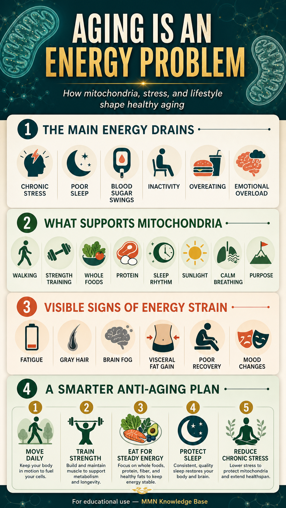 Aging Is an Energy Problem infographic showing how mitochondria, stress, and lifestyle shape healthy aging — the main energy drains (chronic stress, poor sleep, blood sugar swings, inactivity, overeating, emotional overload), what supports mitochondria (walking, strength training, whole foods, protein, sleep rhythm, sunlight, calm breathing, purpose), visible signs of energy strain (fatigue, gray hair, brain fog, visceral fat gain, poor recovery, mood changes), and a smarter anti-aging plan (move daily, train strength, eat for steady energy, protect sleep, reduce chronic stress).