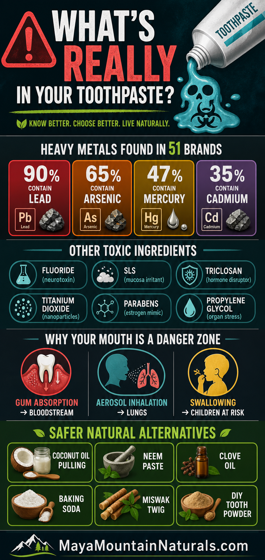 What's Really in Your Toothpaste infographic — heavy metals found across 51 brands (90% lead, 65% arsenic, 47% mercury, 35% cadmium), other toxic ingredients (fluoride, SLS, triclosan, titanium dioxide, parabens, propylene glycol), why the mouth is a danger zone (gum absorption to bloodstream, aerosol inhalation to lungs, swallowing in children), and safer natural alternatives (coconut oil pulling, neem paste, clove oil, baking soda, miswak twig, DIY tooth powder).